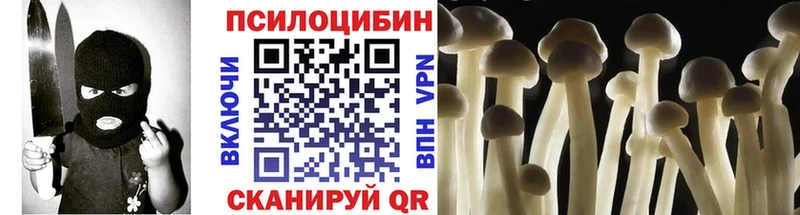 Галлюциногенные грибы мицелий  даркнет сайт  Малмыж 