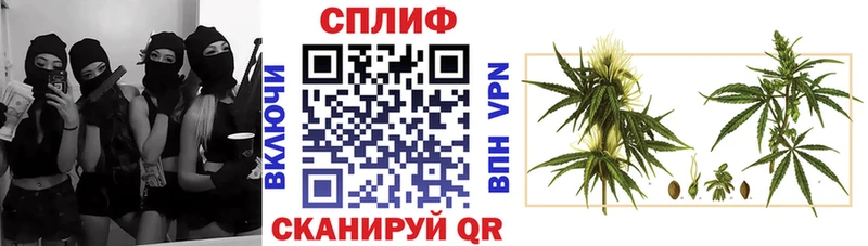 Конопля ГИДРОПОН  Малмыж 